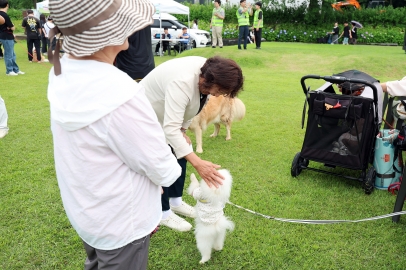 2025년 반려동물운동회 (우리동네개체능) 문화축제(15)